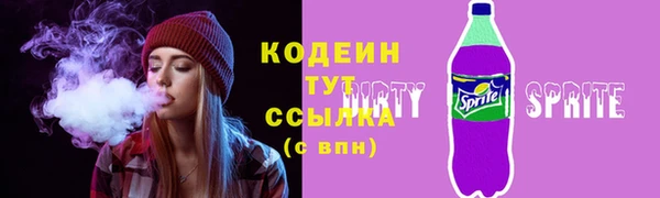 молекула духа Пестово