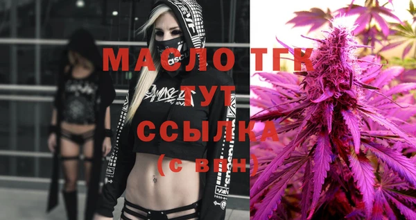 молекула духа Пестово