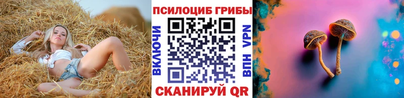 Галлюциногенные грибы GOLDEN TEACHER  что такое наркотик  Павлово 