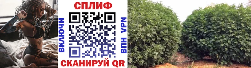 Бошки Шишки MAZAR Павлово